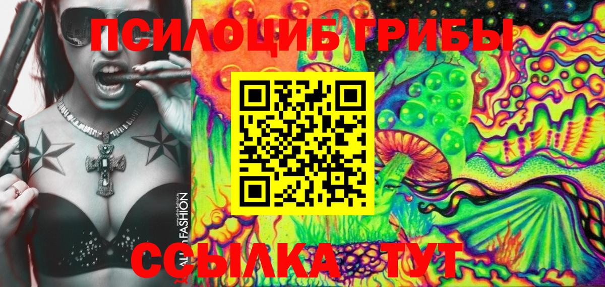 Псилоцибиновые грибы прущие грибы Баксан