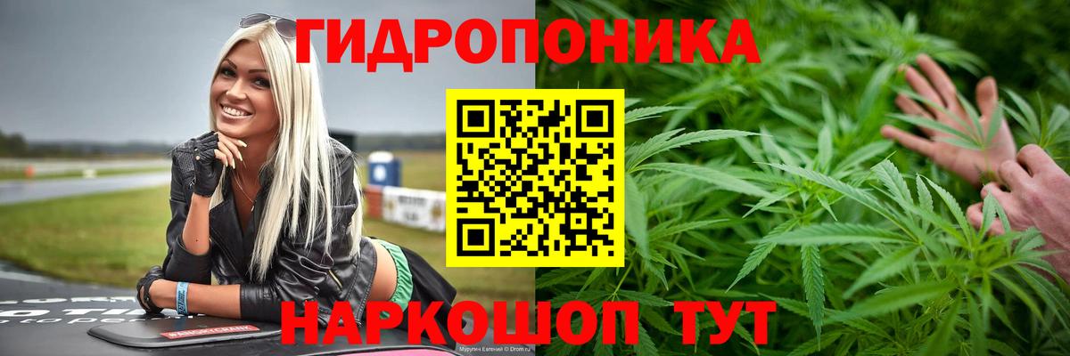 Канабис гибрид  Бошки Шишки White Widow  Баксан  Вход с VPN 
